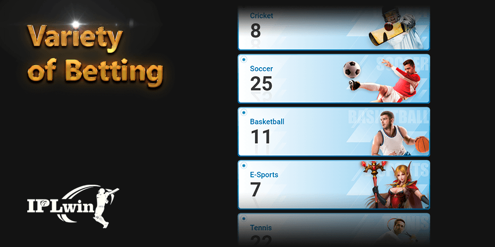 bet app jogo