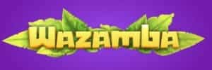 Jogo do tigrinho bet app
